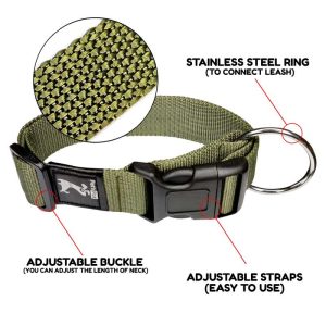 Pets Pot Pet Walk Classic Collar