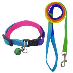 Super Quality Multi Collar With Leash