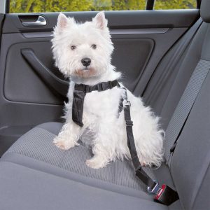 Trixie Car Harness For Pets, Black