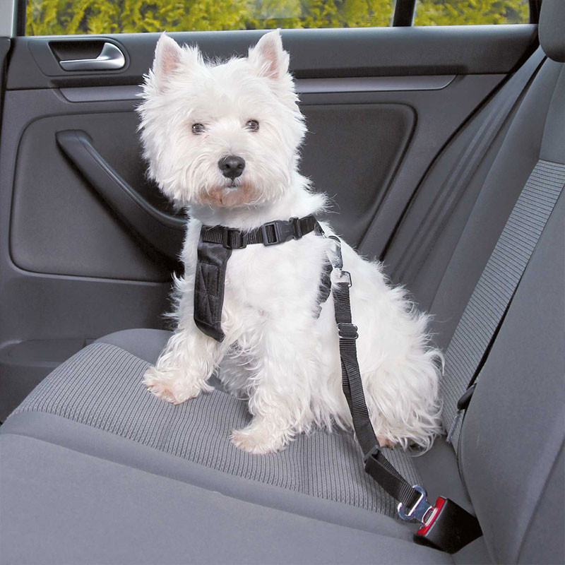 Trixie Car Harness For Pets, Black Trixie Car Harness For Pets, Black