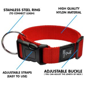 Pets Pot Pet Walk Classic Collar