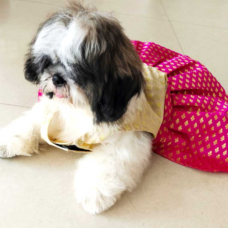 Wedding and Party Wear Gown Wedding and Party Wear Gown