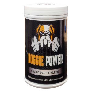Whey Protein Weight Gain For Dog Doggie Power
