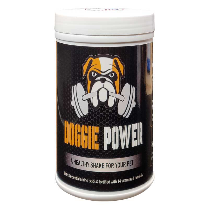 Whey Protein Weight Gain For Dog Doggie Power Whey Protein Weight Gain For Dog Doggie Power