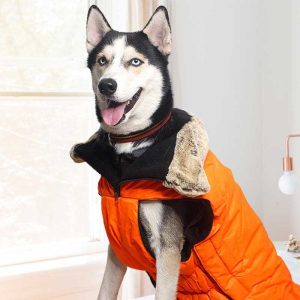 Heavy Duty And Durable Winter Jacket ( Colour May Vary )