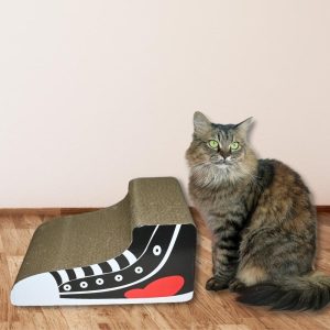 Smarty Pet Scratching Toy