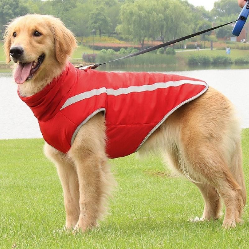 Whoof Winter Jacket Wind Breaker ( Colour May Vary ) Whoof Winter Jacket Wind Breaker ( Colour May Vary )