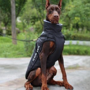 Whoof Vest Jacket + Harness Wind Proof ( Colour May Vary )