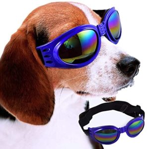 Pets Empire Stylish Goggles ( Colour May Vary )