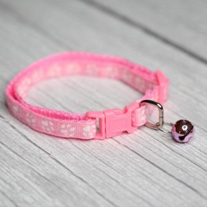 Premium Quality Cat Collar (Colour May Vary)