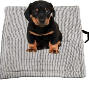 Petaholic Burberry Jackard Mat