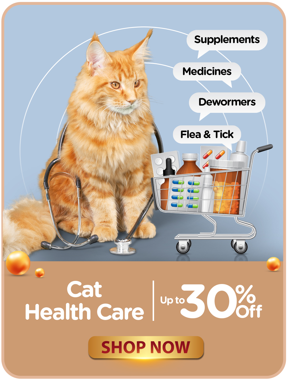 02 - CATEGORY BANNERS - CAT HEALTH CARE VER2