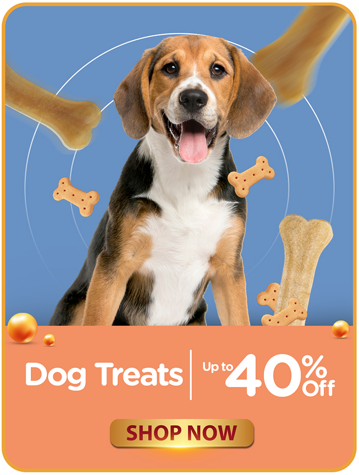 03 - CATEGORY BANNERS - DOG TREATS VER2