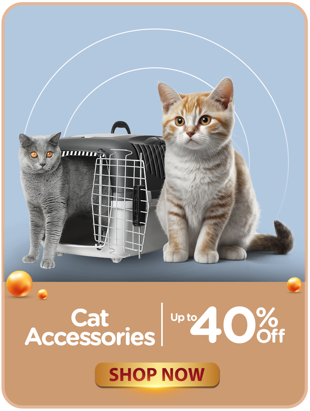 07 - CATEGORY BANNERS - CAT ACCESSORIES VER2